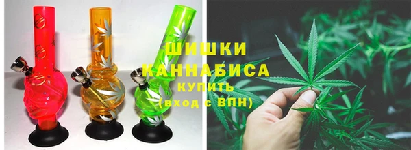 спиды Ладушкин