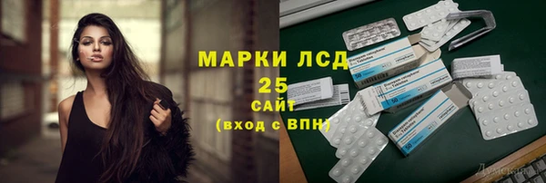 ECSTASY Лагань