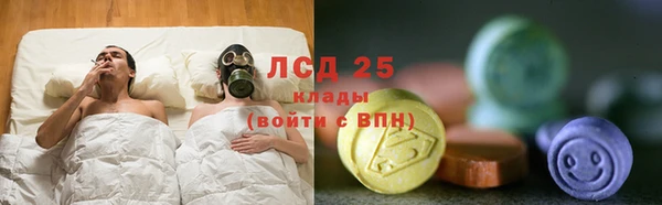 ECSTASY Лагань