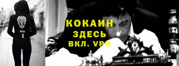 ECSTASY Лагань