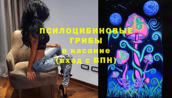 ECSTASY Лагань