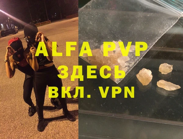 спиды Ладушкин