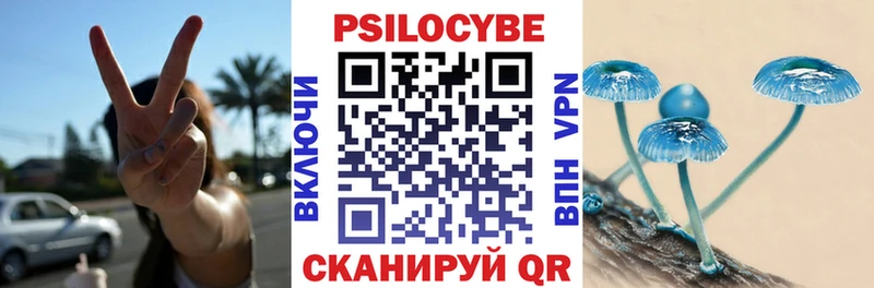 Псилоцибиновые грибы Psilocybe  Ахтырский 
